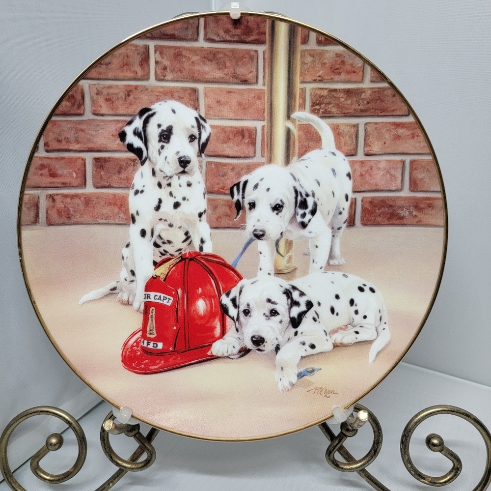 Dalmation collectible plate-Limited Edition